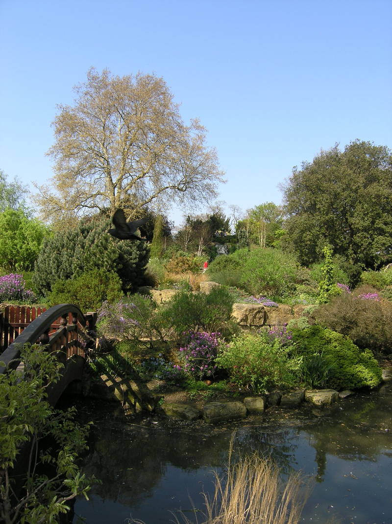 London, April 13-15th 2007: Meeting Sun Lim. Regent's Park: An untouched piece of nature in the middle of the city. Great!