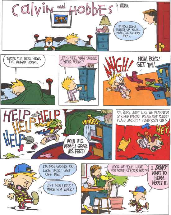 Calvin and Hobbes