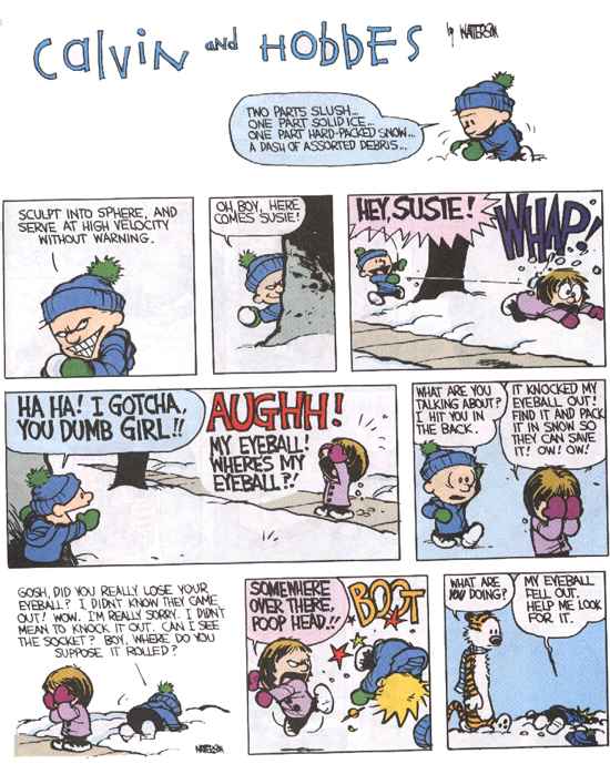 Calvin and Hobbes