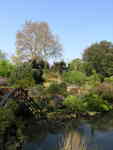 London, April 13-15th 2007: Meeting Sun Lim. Regent's Park: An untouched piece of nature in the middle of the city. Great!