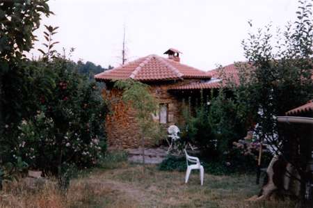 Picture category 6