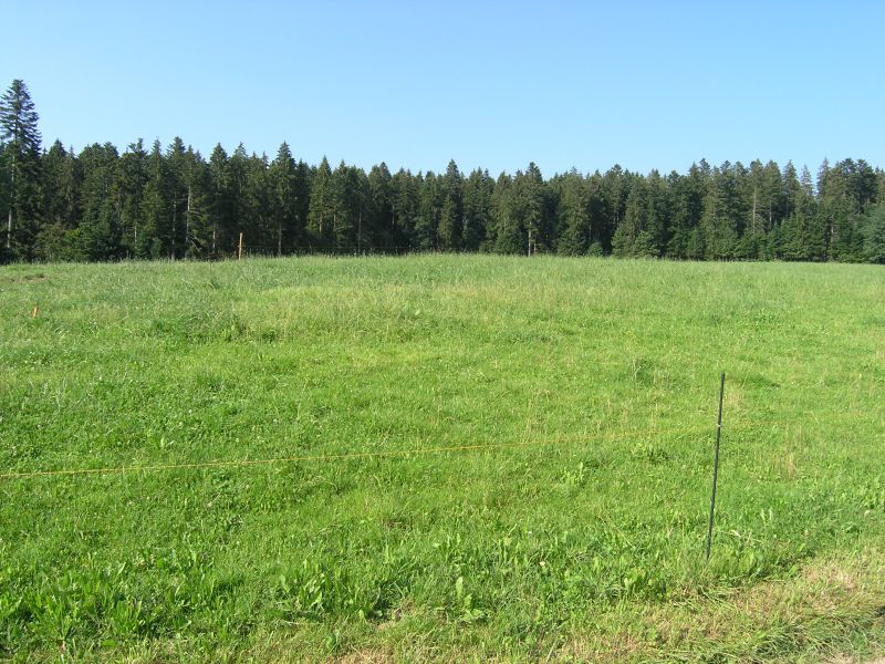 Picture category 9