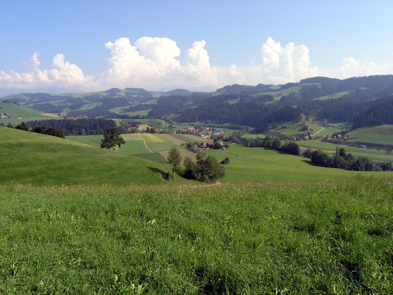 Picture category 9