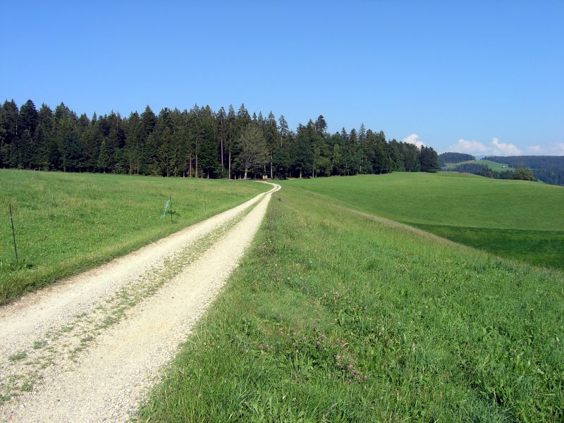 Picture category 9